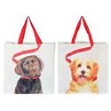 Picture of Asstd Dogs Bag