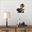 Picture of 2tone fantail wall art