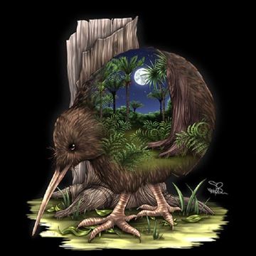 Picture of LED canvas kiwi