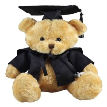 Picture of Scholar bear