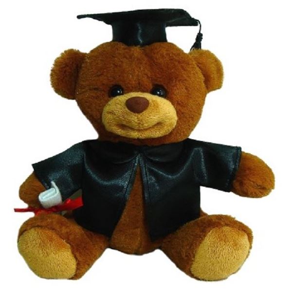 Picture of Clever grad bear