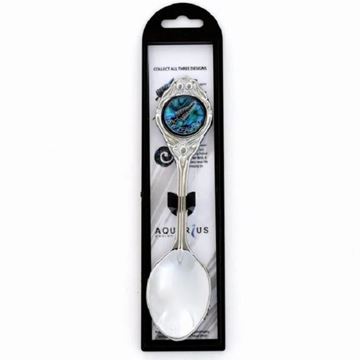 Picture of Paua fern teaspoon