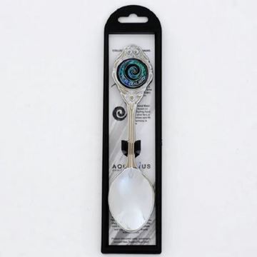 Picture of Paua koru teaspoon