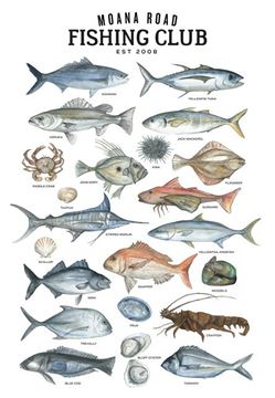 Picture of NZ fishing club tea towel