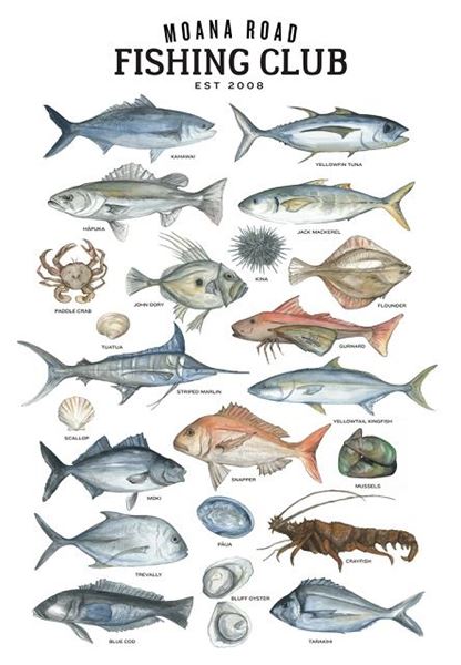 Picture of NZ fishing club tea towel