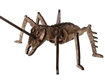 Picture of Small flatpack weta