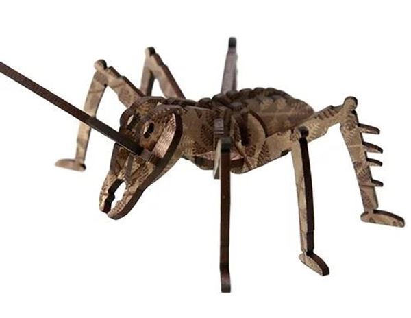 Picture of Small flatpack weta