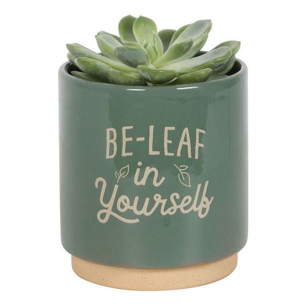 Picture of Be leaf in yourself plant pot