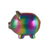 Picture of Rainbow metallic piggy bank