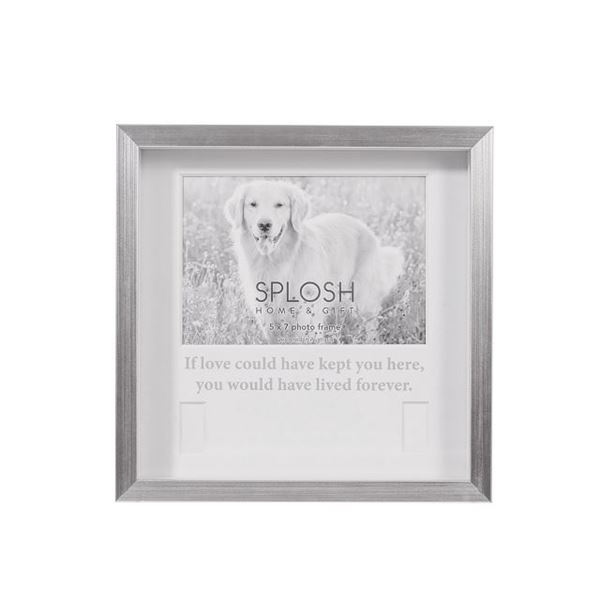 Picture of Pet memorial collar frame
