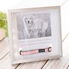 Picture of Pet memorial collar frame