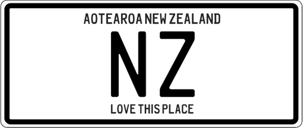 Picture of Plate magnet NZ