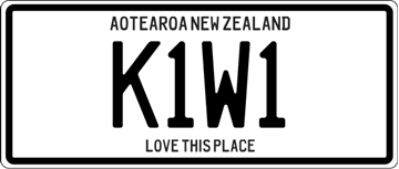 Picture of Plate magnet kiwi