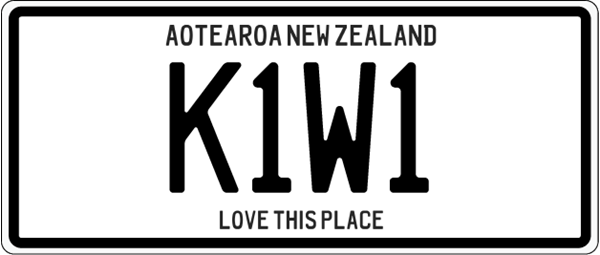 Picture of Plate magnet kiwi