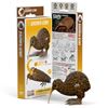 Picture of Eugy brown kiwi