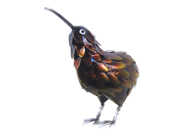 Picture of Small kiwi stretching