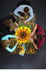 Picture of MaDD CaPP I am sunflower puzzl