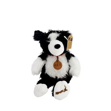 Picture of Rex the NZ sheepdog