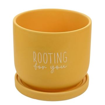 Picture of Rooting for you planter