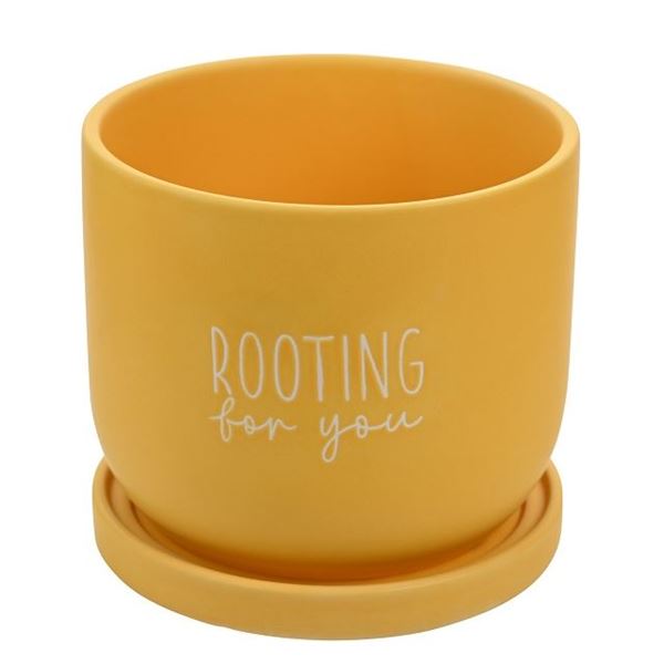 Picture of Rooting for you planter