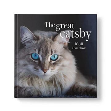 Picture of The great catsby book