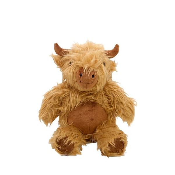 Picture of Hamish the highland cow
