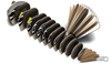 Picture of Eugy fantail