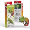 Picture of Eugy chameleon