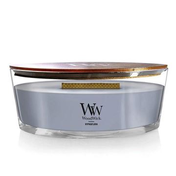 Picture of Woodwick hypnoflora ellipse