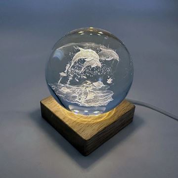 Picture of Crystal ball light dolphins