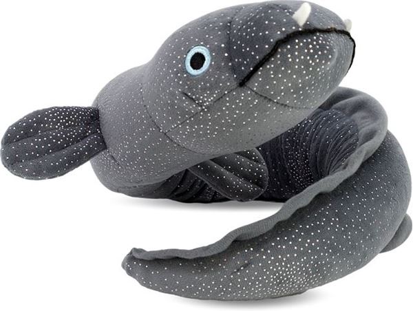 Picture of Ellie the longfin eel soft toy