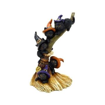 Picture of Black cats climbing broomstick