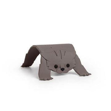 Picture of Scaredy cat