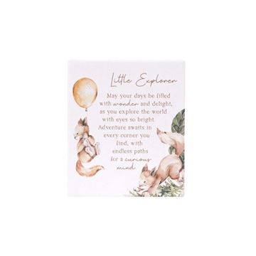 Picture of Tiny wonders explorer verse