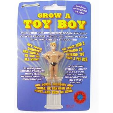 Picture of Grow a toy boy