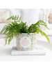 Picture of Ceramic planter