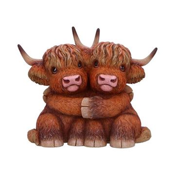 Picture of Highland hug