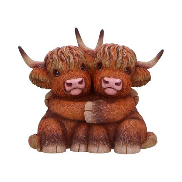 Picture of Highland hug