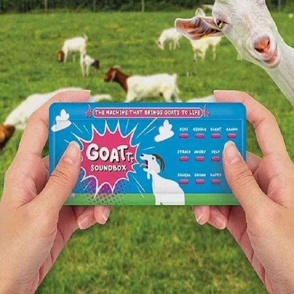 Picture of Goat sound box