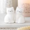 Picture of White cat salt & peppers