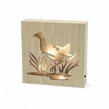 Picture of Pukeko LED block