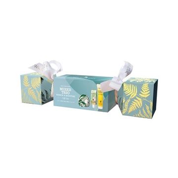 Picture of Wild ferns mixed cracker