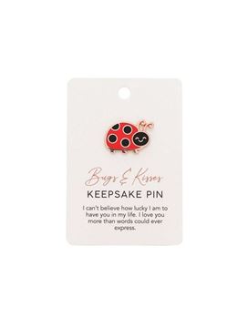 Picture of Ladybug keepsake pin