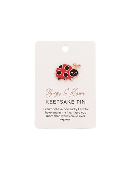 Picture of Ladybug keepsake pin