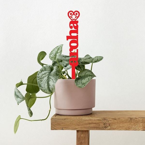 Picture of Plant pot stake red aroha