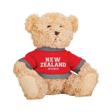 Picture of Teddy bear nz red jumper