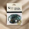 Picture of Paua gem magnet