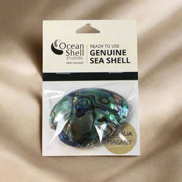 Picture of Paua gem magnet