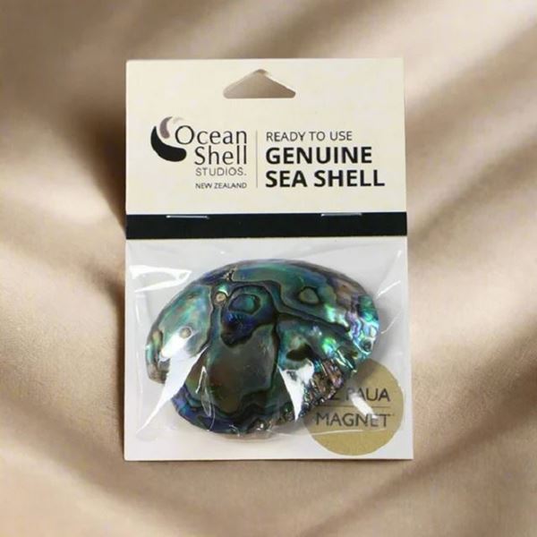 Picture of Paua gem magnet