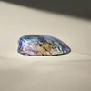 Picture of Paua gem magnet